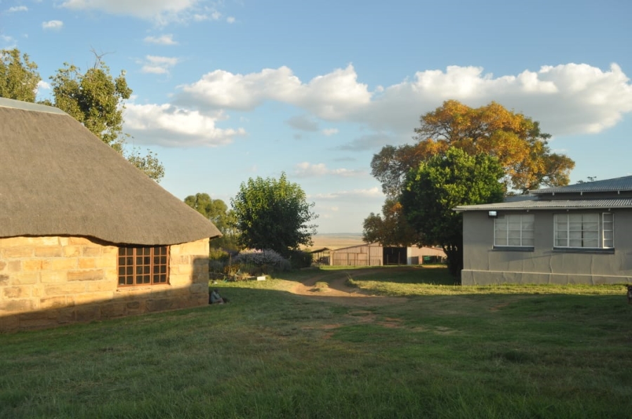 5 Bedroom Property for Sale in Reitz Rural Free State